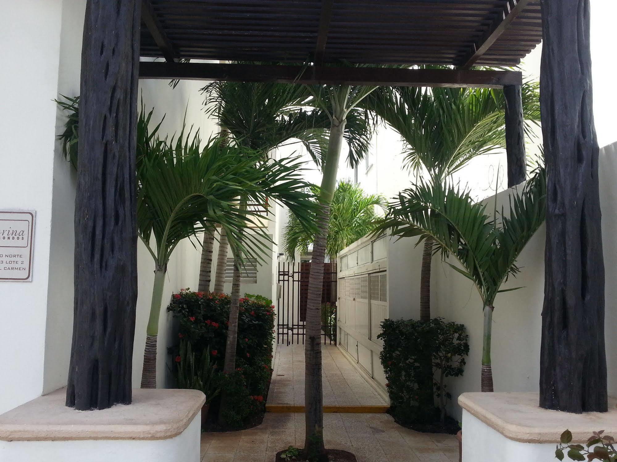 Vida Nueva Bed&Breakfast Peregrina Playa del Carmen Ngoại thất bức ảnh